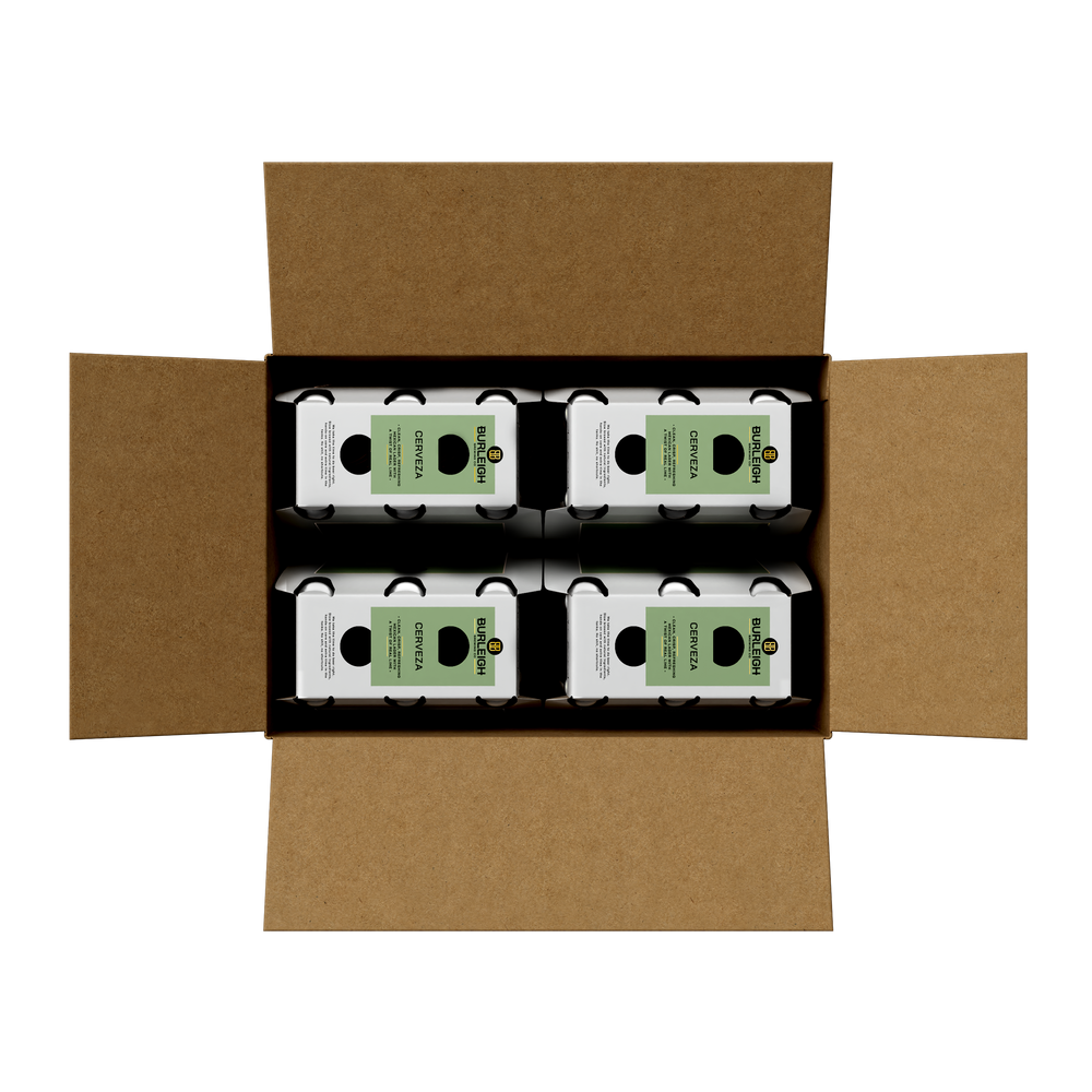 Burleigh Brewing CGI Product Library Bottle cartons
