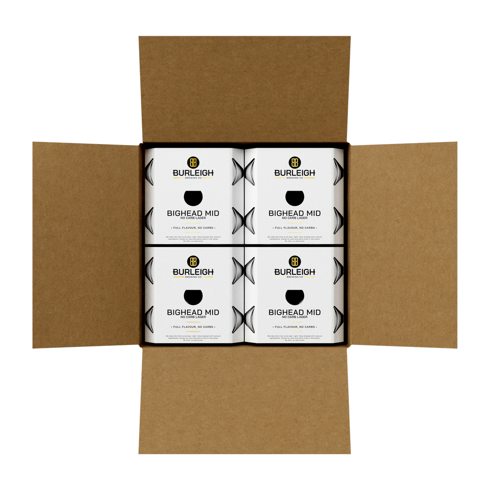 Burleigh Brewing CGI Product Library Can cartons